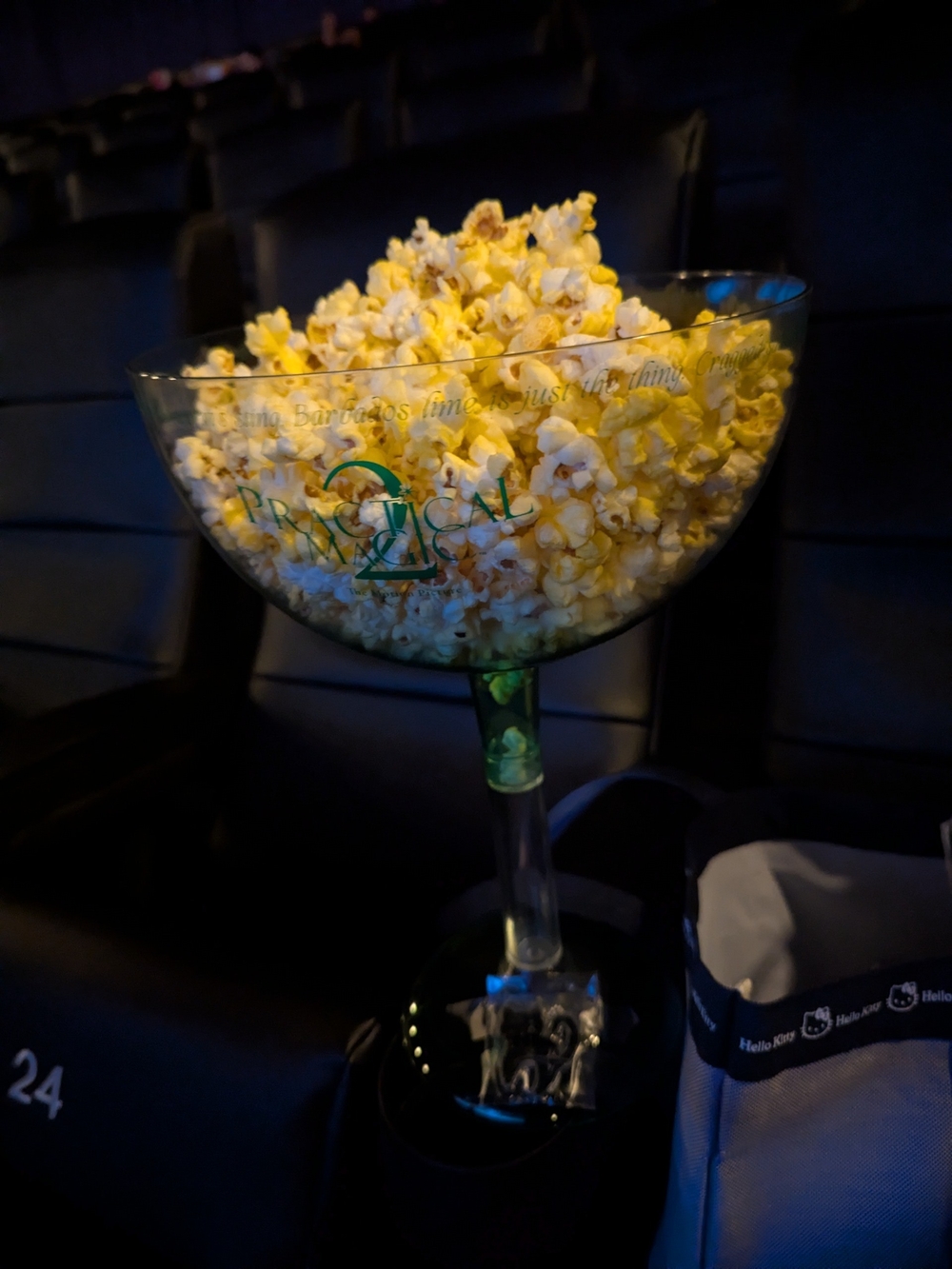 Practical magic movie collectible popcorn bucket margarita cup